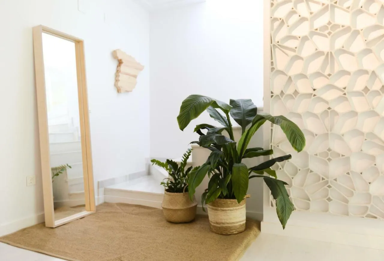 Apartamento De Diseno Con Jacuzzi Privado Granada Apartment