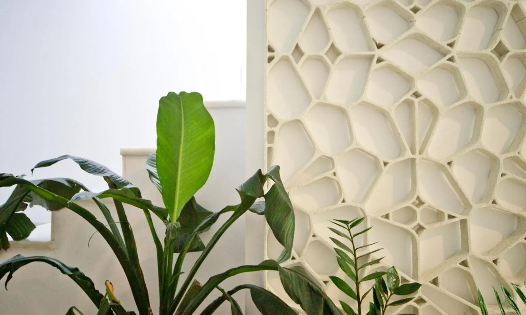 Apartamento De Diseno Con Jacuzzi Privado Granada Spain